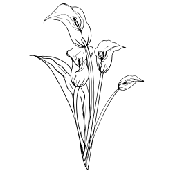 plante fleurie intérieur